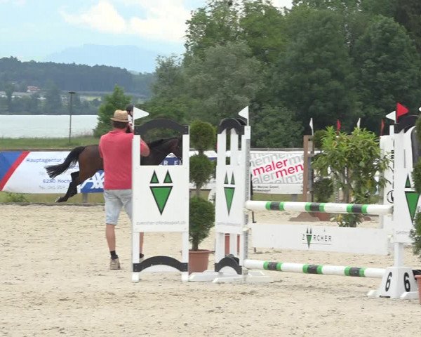 Reitturnier Hitzkirch 2019