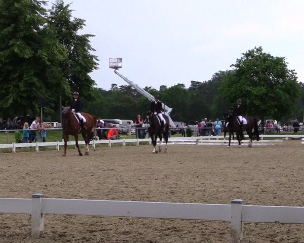 Reitturnier Coesfeld 2019