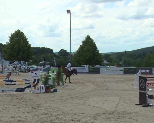Reitturnier Küps/Ofr. 2019