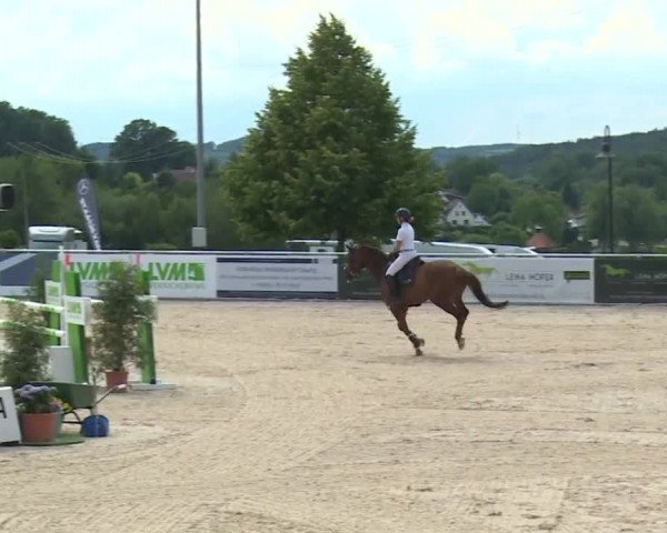 Reitturnier Küps/Ofr. 2019