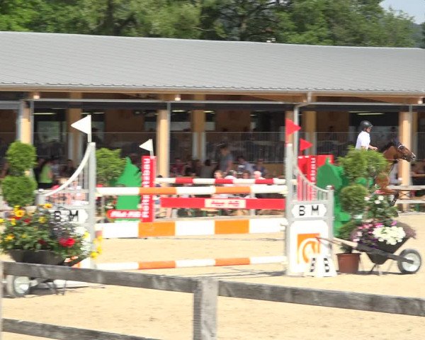 Reitturnier Hitzkirch 2019