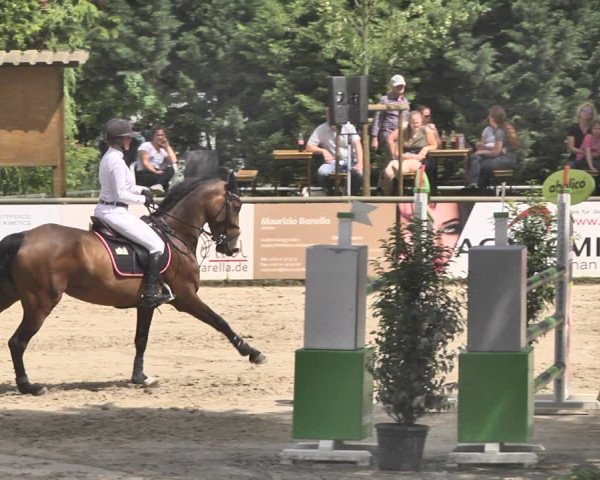 Reitturnier Viernheim 2019