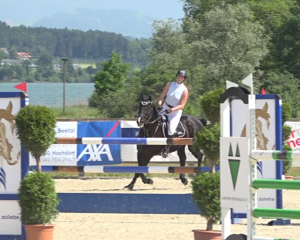 Reitturnier Hitzkirch 2019