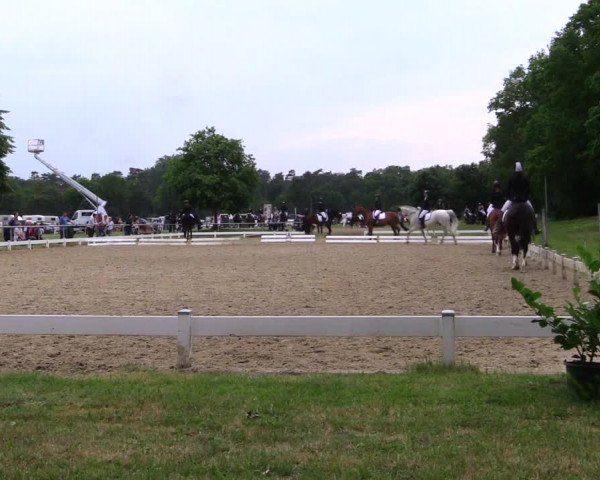 Reitturnier Coesfeld 2019