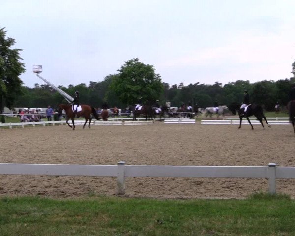 Reitturnier Coesfeld 2019