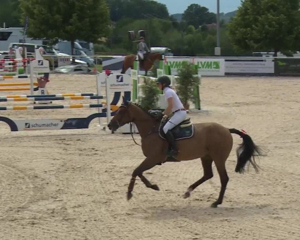 Reitturnier Küps/Ofr. 2019