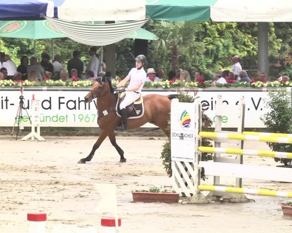 Reitturnier Viernheim 2019