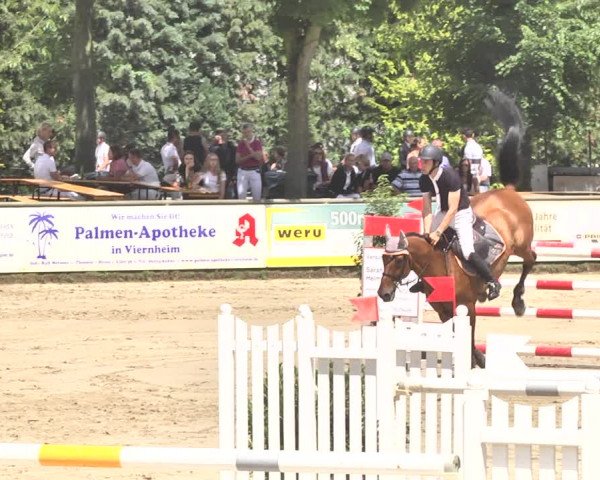 Reitturnier Viernheim 2019