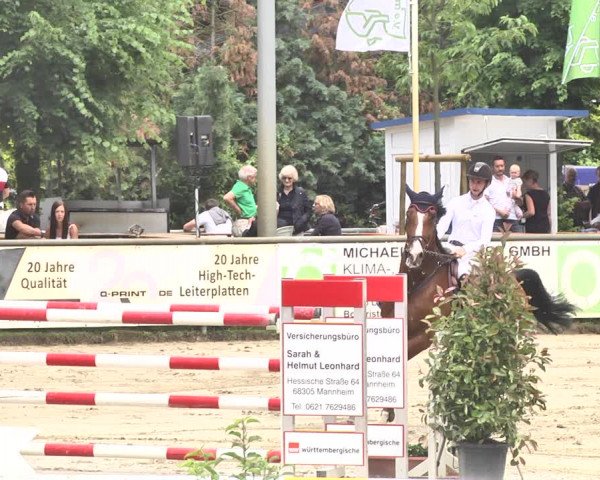 Reitturnier Viernheim 2019