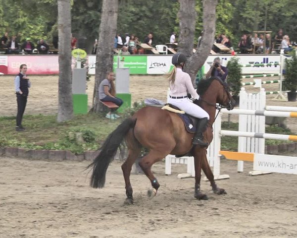 Reitturnier Viernheim 2019