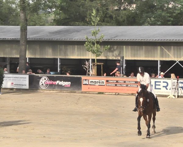 Reitturnier Viernheim 2019