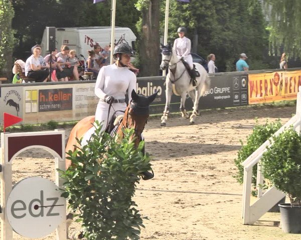 Reitturnier Viernheim 2019