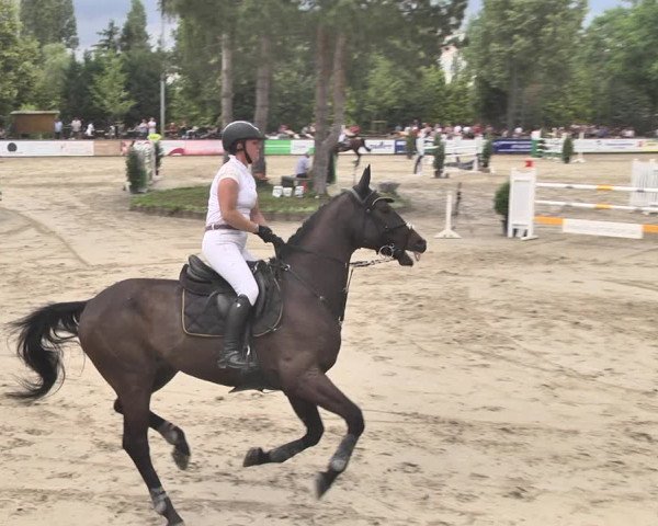 Reitturnier Viernheim 2019