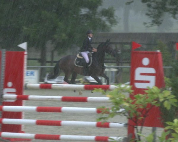 Reitturnier Coesfeld 2019