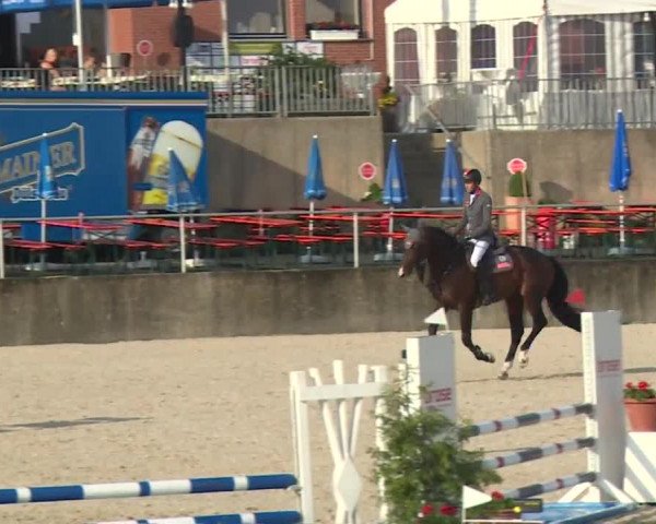 Reitturnier Küps/Ofr. 2019