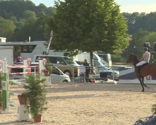 Reitturnier Küps/Ofr. 2019