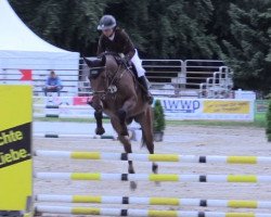broodmare Quickly 29 (Selle Français, 2012, from Quickly de Kreisker)