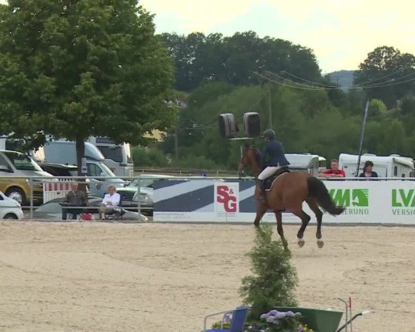 Reitturnier Küps/Ofr. 2019