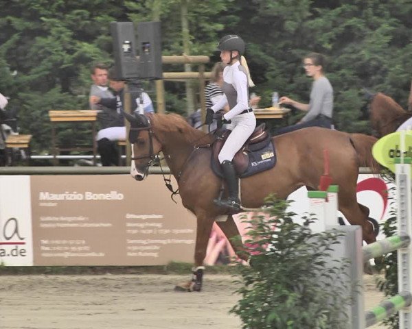 Reitturnier Viernheim 2019
