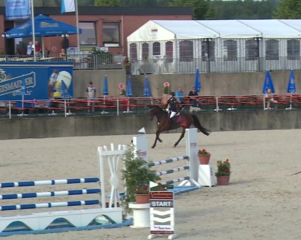 Reitturnier Küps/Ofr. 2019