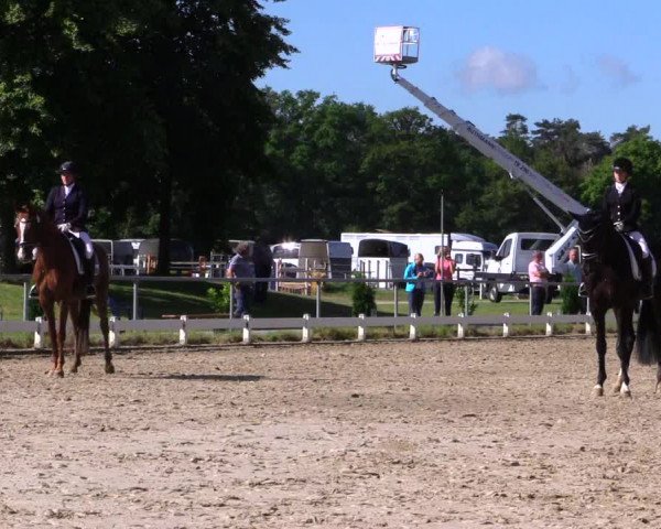 Reitturnier Coesfeld/Lette 2019