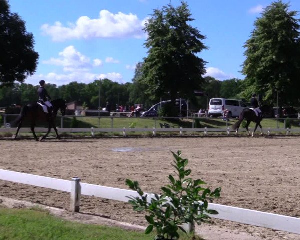 Reitturnier Coesfeld/Lette 2019