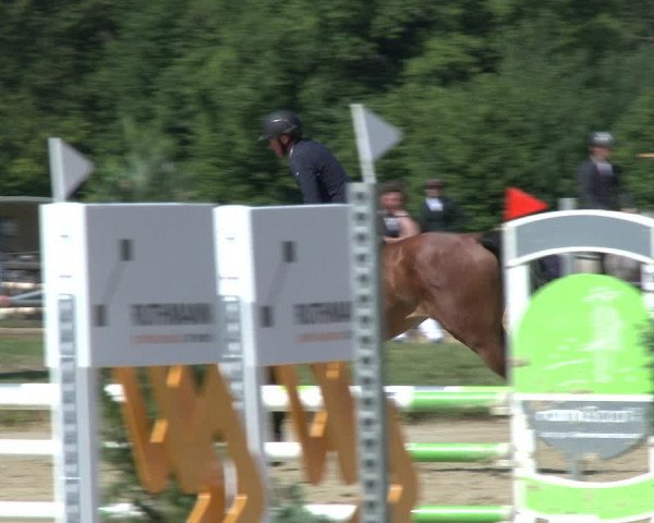 Reitturnier Coesfeld/Lette 2019