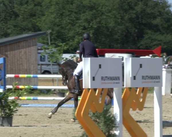 Reitturnier Coesfeld/Lette 2019