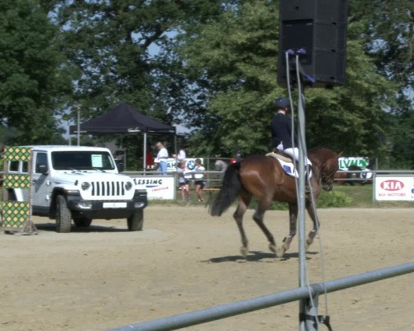 Reitturnier Coesfeld/Lette 2019
