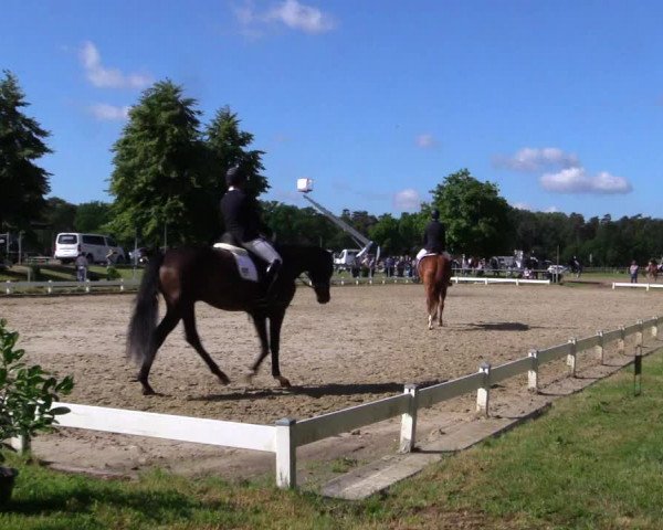 Reitturnier Coesfeld/Lette 2019