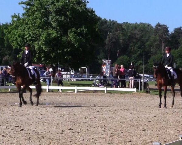 Reitturnier Coesfeld/Lette 2019