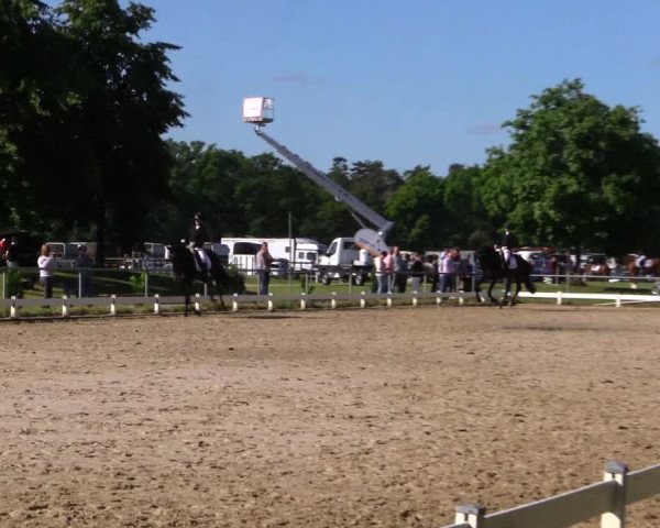 Reitturnier Coesfeld/Lette 2019