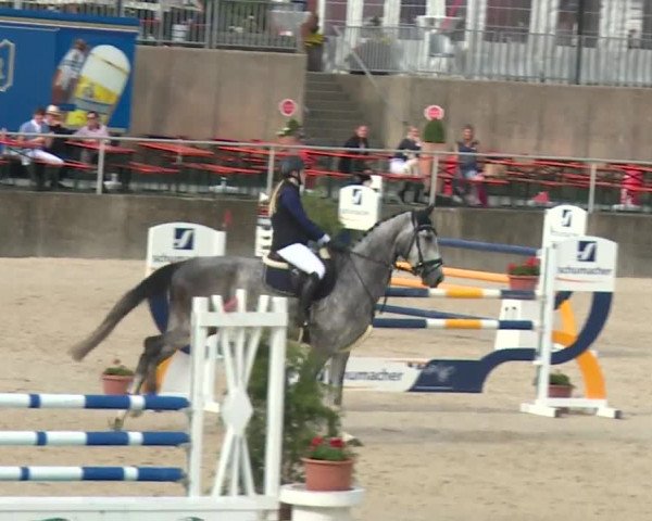 Reitturnier Küps/Ofr. 2019