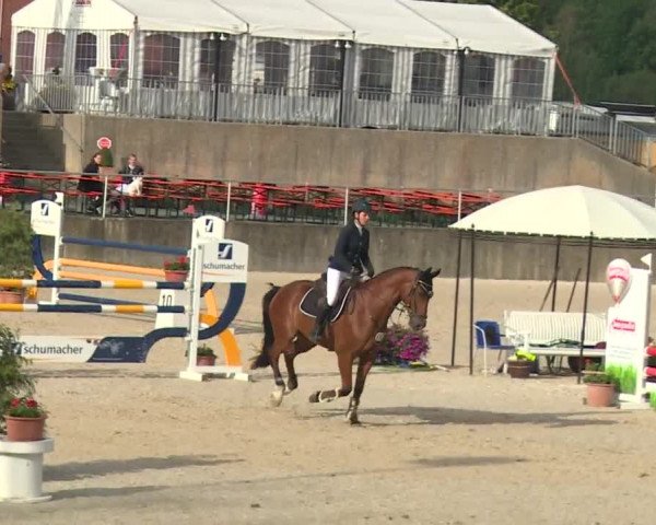 Reitturnier Küps/Ofr. 2019