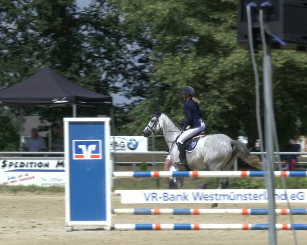 Reitturnier Coesfeld/Lette 2019