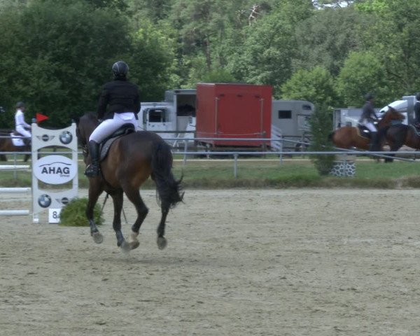 Reitturnier Coesfeld/Lette 2019