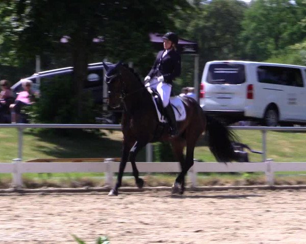 Reitturnier Coesfeld/Lette 2019