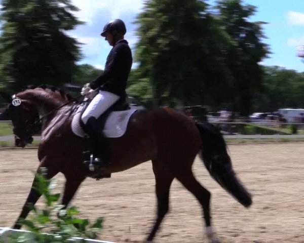 Reitturnier Coesfeld/Lette 2019
