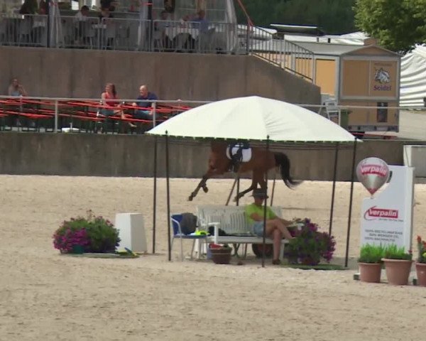 Reitturnier Küps/Ofr. 2019