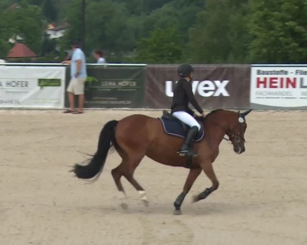Reitturnier Küps/Ofr. 2019