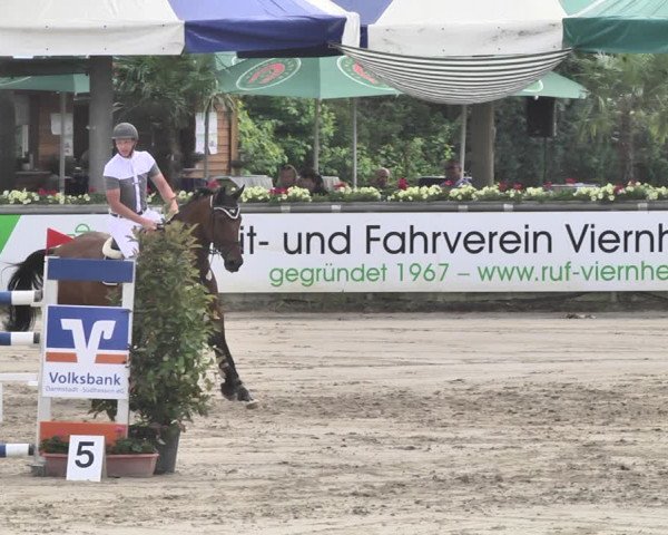Reitturnier Viernheim 2019