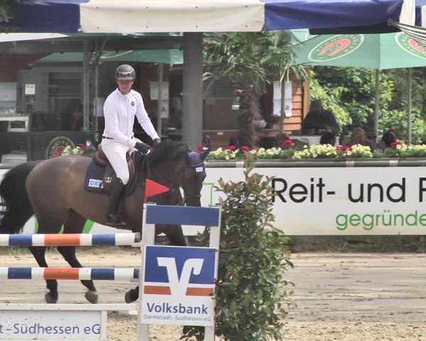 Reitturnier Viernheim 2019