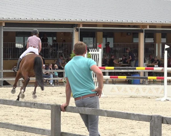 Reitturnier Hitzkirch 2019