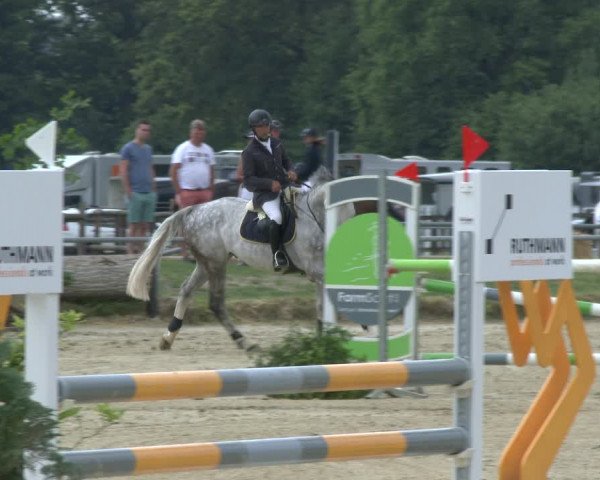 Reitturnier Coesfeld/Lette 2019