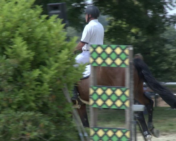 Reitturnier Coesfeld/Lette 2019