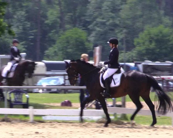Reitturnier Coesfeld/Lette 2019