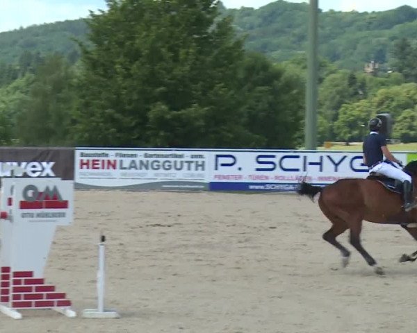 Reitturnier Küps/Ofr. 2019