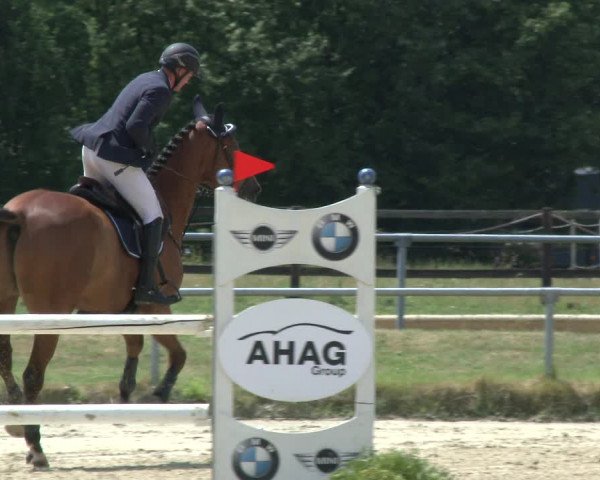 Reitturnier Coesfeld/Lette 2019