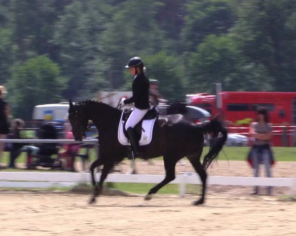 Reitturnier Coesfeld/Lette 2019