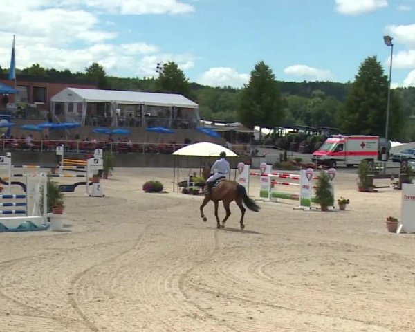Reitturnier Küps/Ofr. 2019